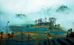 缘生如幻采集到风景