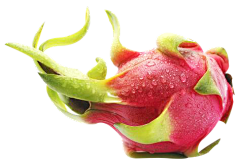 蒙纳里基采集到水果蔬菜
