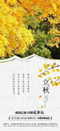 立秋节气海报-源文件