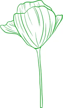 线条花  - 源文件下载【酷图网】花,鲜花,花卉,手绘花卉,手绘花卉框架,线条花,角花,花纹,玫瑰花,太阳花,花苞,花骨朵,花型,花心,花形状,线条画,素描花,花朵