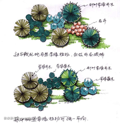 全中文昵称采集到来学植物配置