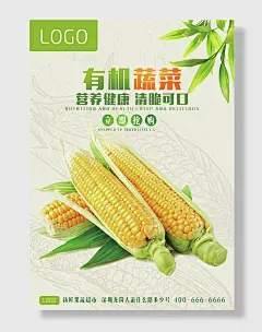 有机玉米营养健康宣传海报