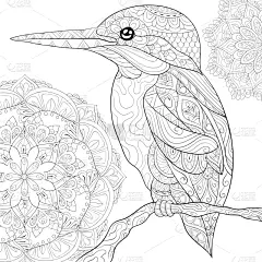 可爱的,鸟类,成年的,图像,动物,兔子,洋葱花,乱画,着色