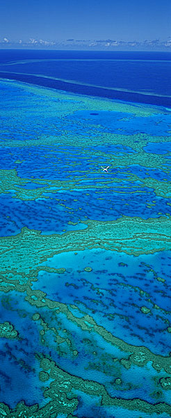 GREAT BARRIER REEF, ...