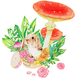 画画的菲小象采集到《春夏秋冬：72色彩铅笔的幸福画作》~彩色铅笔绘画技法