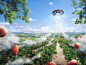 Oreo Challenge Intro | CGI : This project is my intro for Oreo Challenge. The main goal was to create a juicy promo visual for new berry taste. I ended up with idea of UFO-OREO charging by sweet berries from the fields. Here you can see the result!) _创意高清