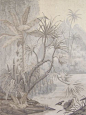 Traditional wallpaper / nature pattern / panoramic / handmade TROPICAL VIEWS : TRV-100 Paul Montgomery Studio