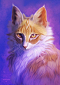 “The crowd had parted so that Leafpaw could make out the  young cat crouched beside him. [Mothwing] was startlingly beautiful,  with glowing amber eyes in a triangular face, and a long golden pelt ...