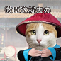 和领导交流必备表情包 - 小红书