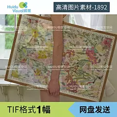 法式风格巴黎设计浪漫夏日繁花小众艺术海报装饰画画芯高清微喷图-淘宝网