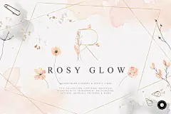 Rosy Glow Collection⎪玫瑰色腮红花卉字母水彩手绘插画