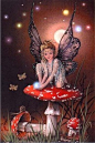 Fairies - They are all about us.