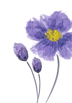 紫插画