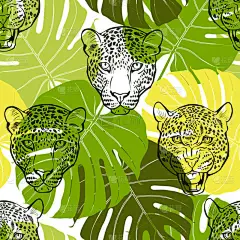 豹的脸和棕榈叶呈白色。动物艺术背景。B.病媒.