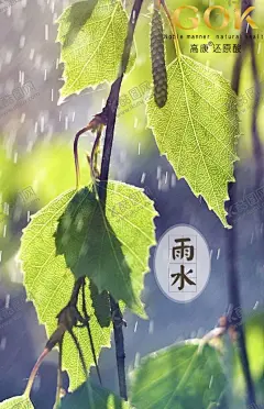 微商雨水节气 【酷图网】雨水节气,微商化妆品,微商设计,微商排版,微商背景,创意海报,还原酸,美女素材,美女头发,女神,长发美女,美容,化妆品海报,宣传单,护肤品海报,美容护肤,美白,保湿,花,药妆,中国风,过年,花纹,茉莉花,薰衣草,荷花,玫瑰,直通车,绿叶,精油,小清新,水花牛油果,迷迭香,洋甘菊