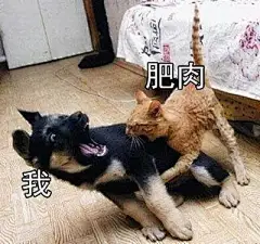 艰难的生活，依旧在努力的活着 
#生活与我表情包# ​​​​