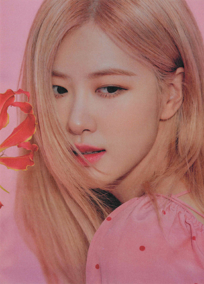 blackpink.rose