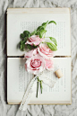 Books Before Bed - My Summer Reading List Shared  www.champagneandpost.com   Image via Annetta Bosakova