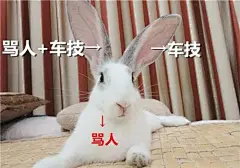微信 QQ 搞笑 表情包 哈哈 (3976)