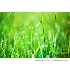 沽源坝上——陪你去远方_河北_黄河上下_光影天下_数码生存-小林的摄影设计手绘文字