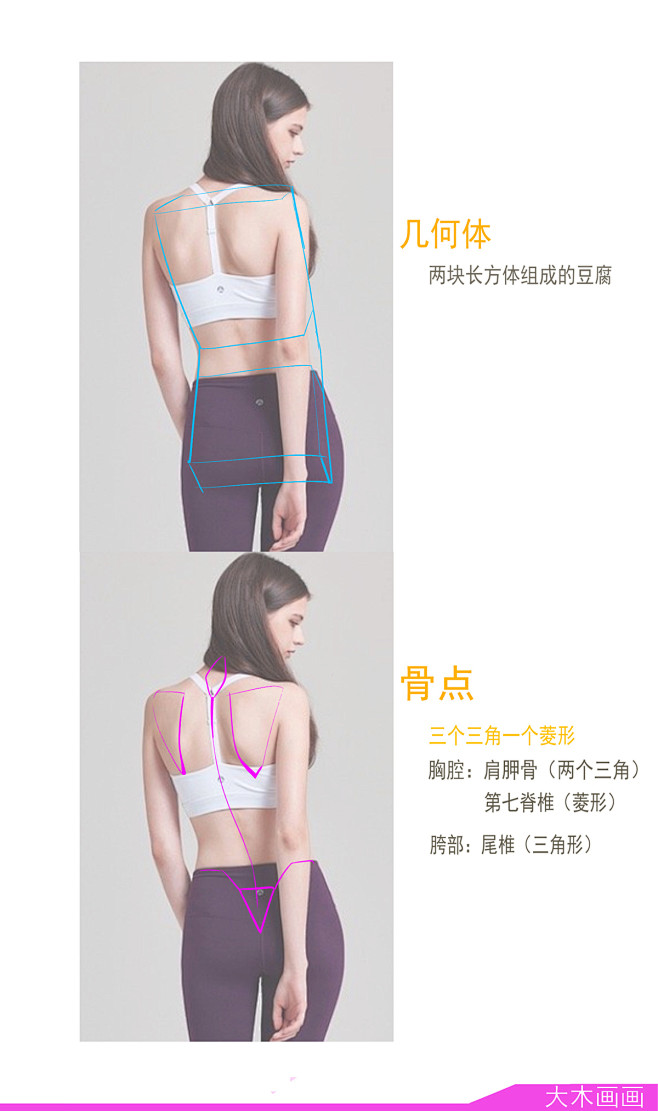 如何画好女性背部肌肉？_大木画画__插画...