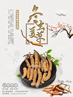 冬虫夏草  - 源文件下载【酷图网】冬虫夏草,冬虫草,冬虫草展板,冬虫夏草展板,冬虫夏草海报,冬虫夏草宣传,冬虫夏草广告,冬虫夏草展架,冬虫夏草补品,正宗冬虫夏草,中药冬虫夏草,冬虫夏草灯箱,西藏冬虫夏草,冬虫夏草简介,冬虫夏草功效,冬虫夏草价值,冬虫夏草文化,野生冬虫夏草,冬虫夏草画册,冬虫夏草挂图,虫草