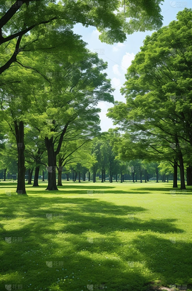 绿色树林风景场景图片素材