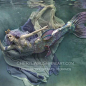Lovely Rachel :) Makes me happy to get to spend time with her.  She is absolutely magical.

Underwater photography Cheryl Walsh for Cheryl Walsh Fine Art Photography
Model Reilena
Gown Rachel Day
Mermaid tail Finfolk Productions
Crown Fiori Couture
Wig Pi