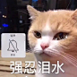 近期热图 : Merry Christmas 不如 Marry Me 熊猫头圣诞节撩汉撩妹表情包无所事事动态表情包好困，好