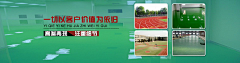新露采集到远见