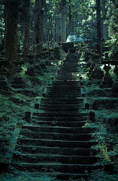 花香满庭园采集到风景，自然