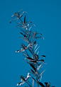 Glass Metal and Light on Behance (6)