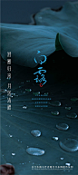 白露节气海报-源文件