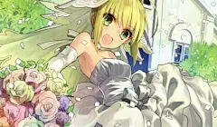 Fate/Stay Night/连衣裙/wada_rco/婚纱/乳沟/Saber