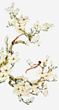 中国风白色花鸟装饰免抠素材_元小素 https://iipng.com 中国风 古风 手绘 白色 花 装饰 鸟