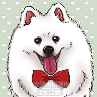 【大湿爱设计】Q版宠物画 宠物手绘头像全...