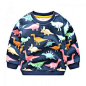 Comfy Dinosaur Patterned Long-sleeve Pullover for Boy