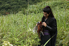 抱苍采集到战羡嗲又强
