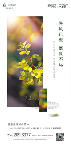 宋敏雪采集到海报