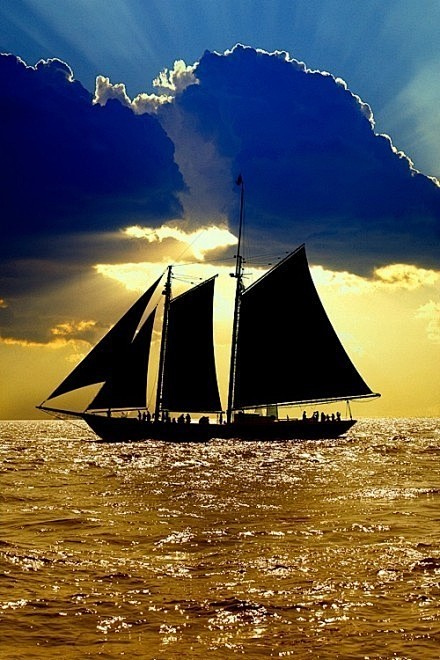 直挂云帆济沧海