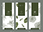 花卉自然背景，横幅优惠券，春夏热带，矢量插图