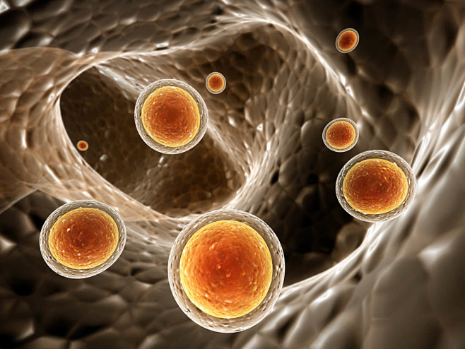 人体生物细菌高清图片