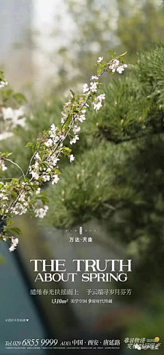 FlowerZQ采集到环境