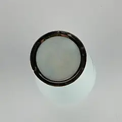 Japanese Sato Cloisonne Vase w/ Bamboo