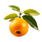 好吃的水果 枇杷 免扣PNG 透明png