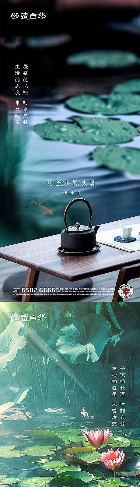 【南门网】 海报 夏至 荷花 小暑 大暑...