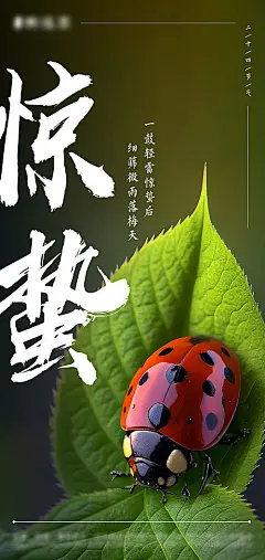 惊蛰海报-源文件