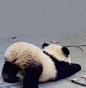 来自分享