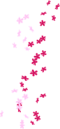 Eff_zhiwu