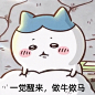 小八宝宝chiiikawa#摸鱼表情包